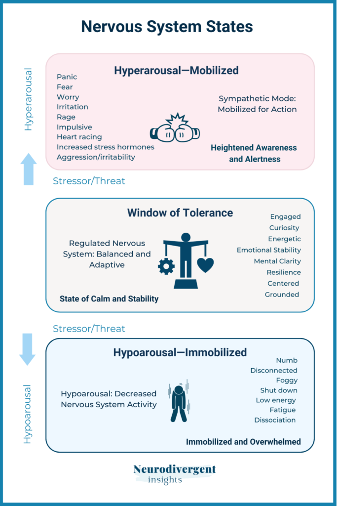 Image of nervous system states showing hyperarousal, window of tolerance and hypoarousal