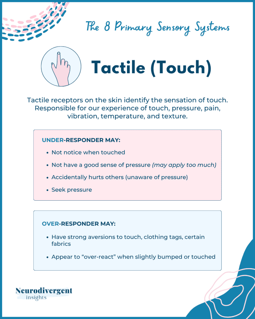 Infographic titled 'The 8 Primary Sensory Systems: Tactile (Touch)' explaining how skin receptors process touch, pressure, pain, and texture. Lists under-responders (don’t notice touch, seek pressure, unaware of force) and over-responders (aversion to clothing tags, strong reactions to touch). Neurodivergent Insights logo at the bottom