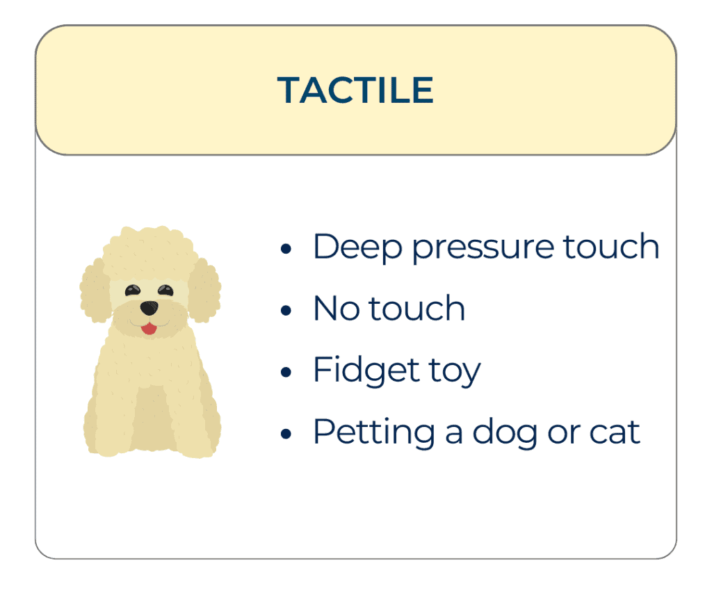 Illustration of a fluffy cream-colored dog with text listing tactile preferences: deep pressure touch, no touch, fidget toy, petting a dog or cat.