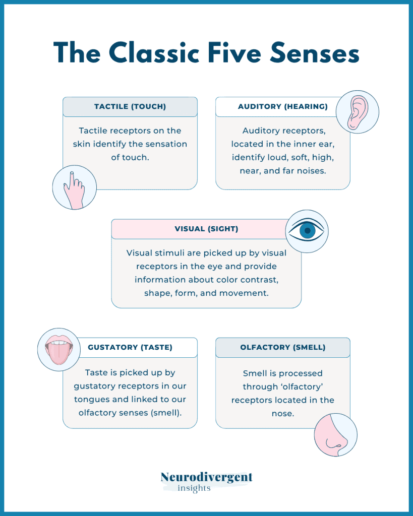 Diagram outlining the five traditional senses — touch, hearing, sight, taste, and smell — with brief descriptions and icons for each.