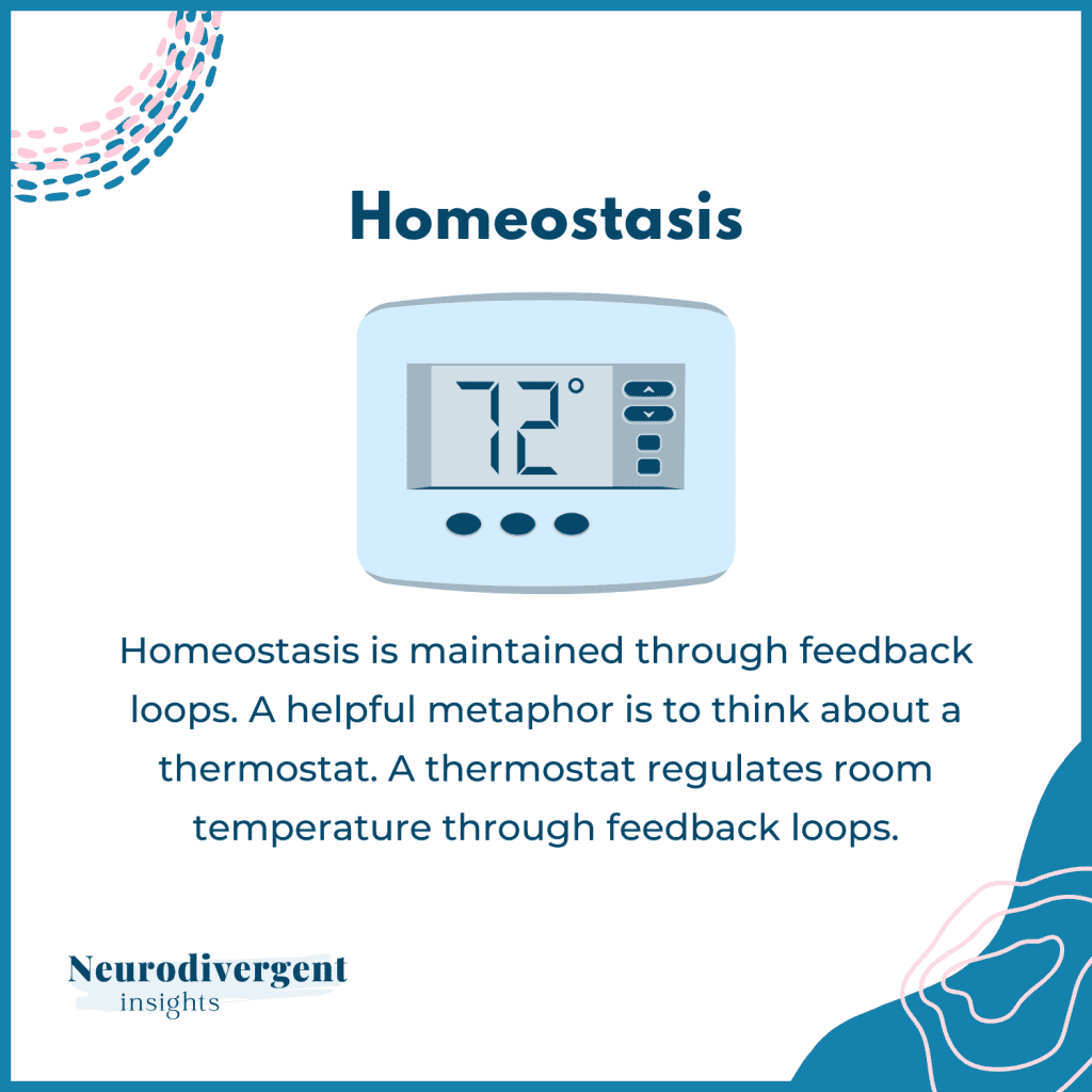 Illustration of a thermostat reading 72 degrees, with text explaining that homeostasis works through feedback loops that keep internal balance.
