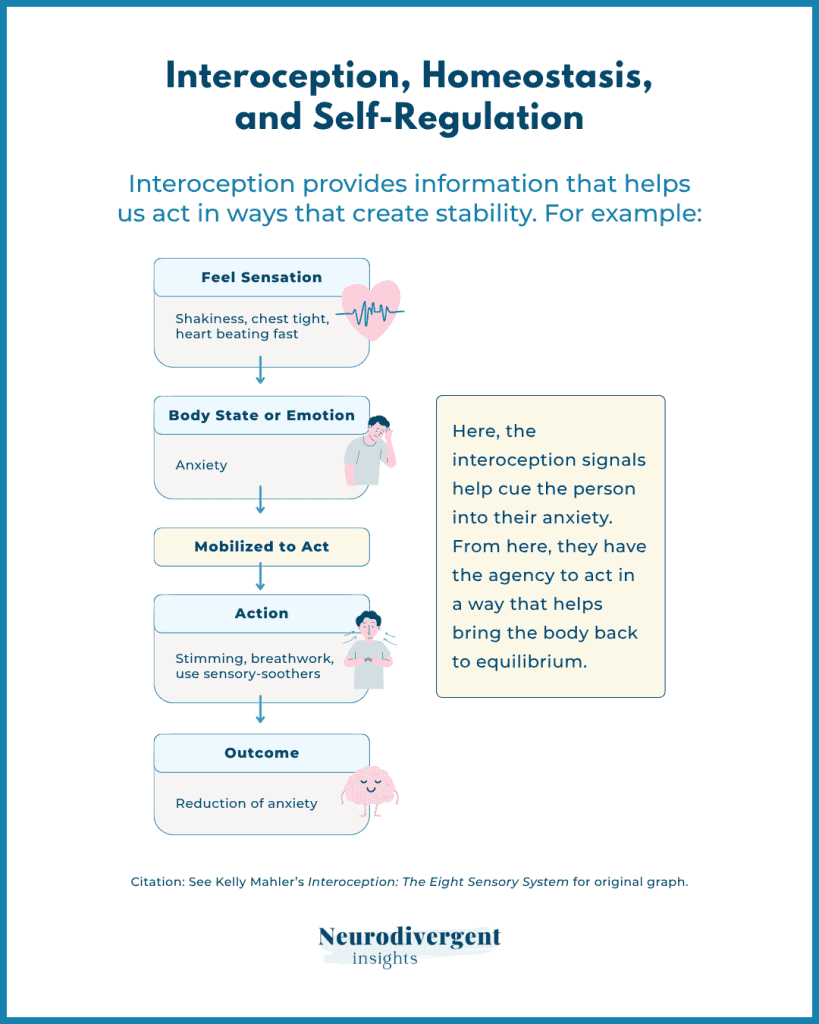 Flowchart showing how sensations like shakiness or a fast heartbeat signal anxiety, leading to self-soothing actions such as stimming or breathwork that reduce anxiety and restore balance.