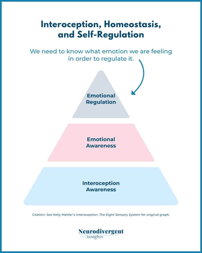 Illustration of a three-level pyramid labeled Interoception Awareness, Emotional Awareness, and Emotional Regulation, showing the connection between body awareness and emotional control.