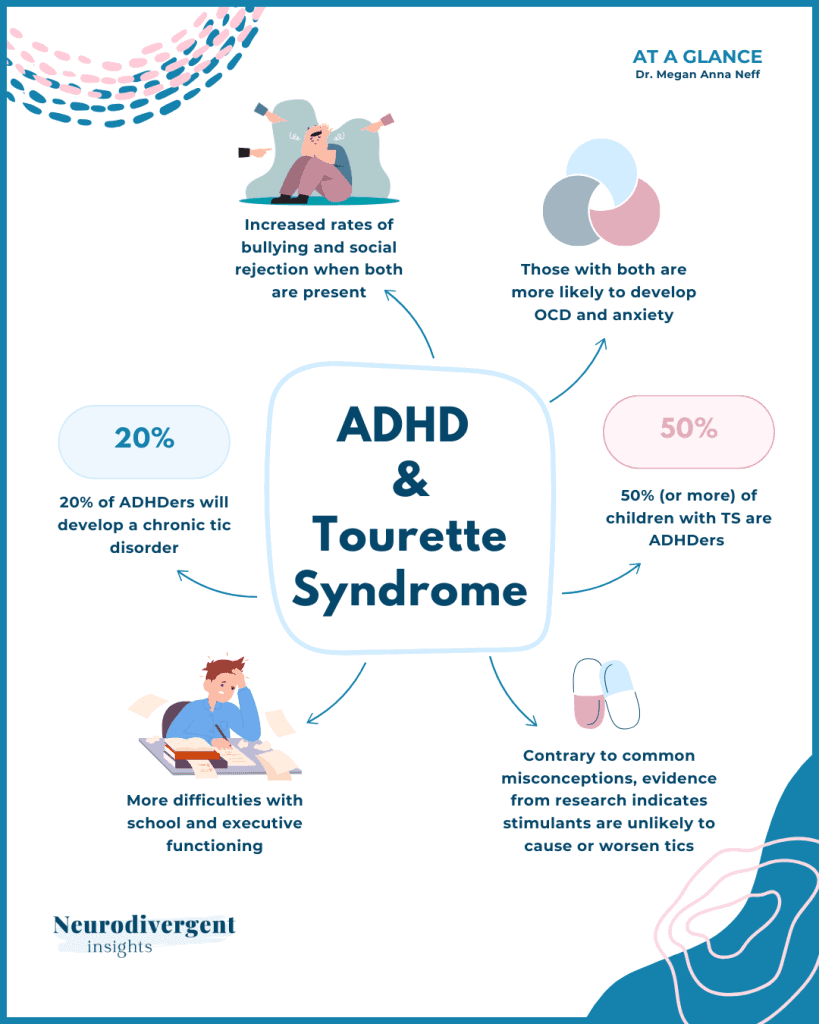 Vertical infographic titled “ADHD & Tourette Syndrome” by Dr. Megan Anna Neff. It highlights key facts about the relationship between ADHD and Tourette Syndrome, including co-occurrence rates, school challenges, anxiety links, and common misconceptions about stimulants.