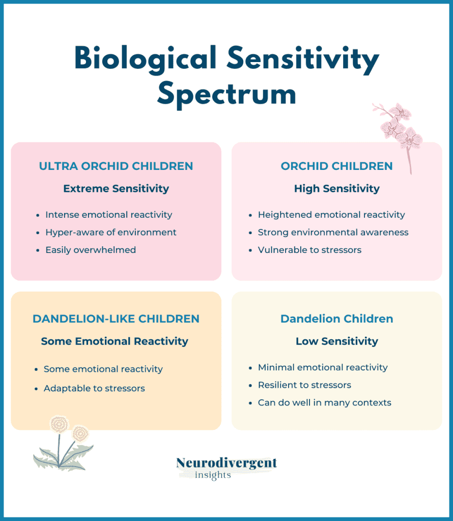 Four-section infographic showing ultra orchid children, orchid children, dandelion-like children and dandelion children.