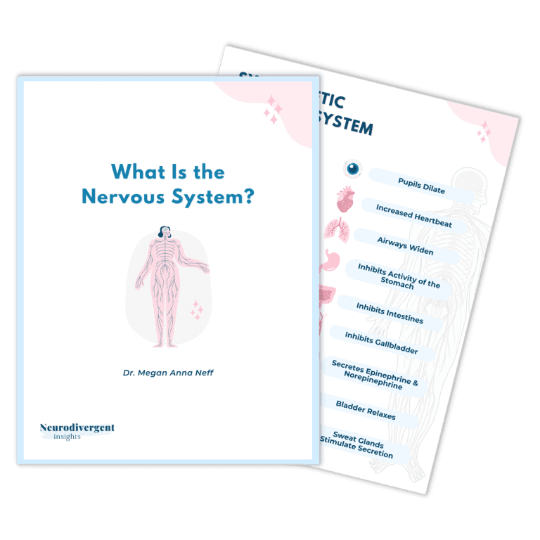 Two pages of the free What Is the Nervous System? visual guide: the cover and the sympathetic nervous system page