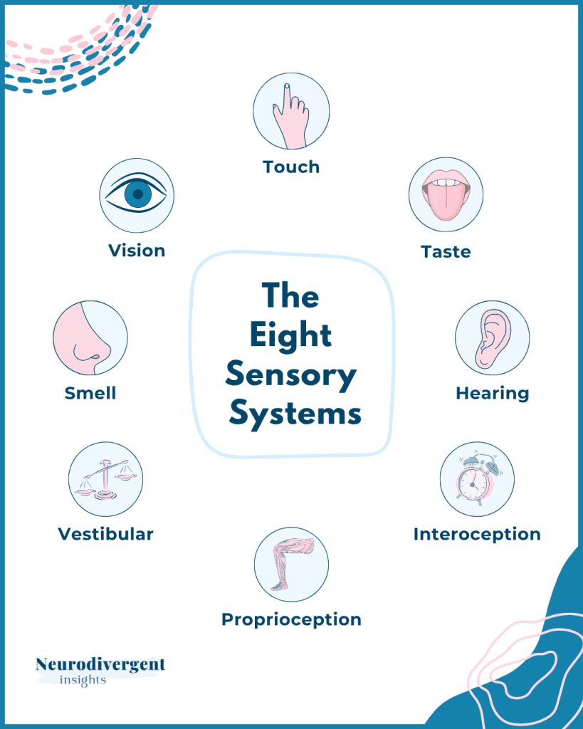 Eight sensory systems infographic showing vision hearing touch taste smell vestibular proprioception and interoception