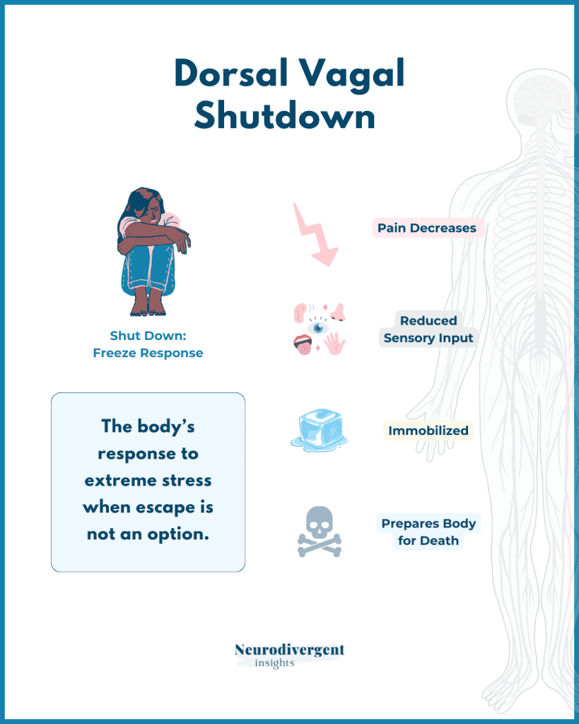Infographic explaining dorsal vagal shutdown as a freeze response with reduced sensory input, immobility, and pain decrease.