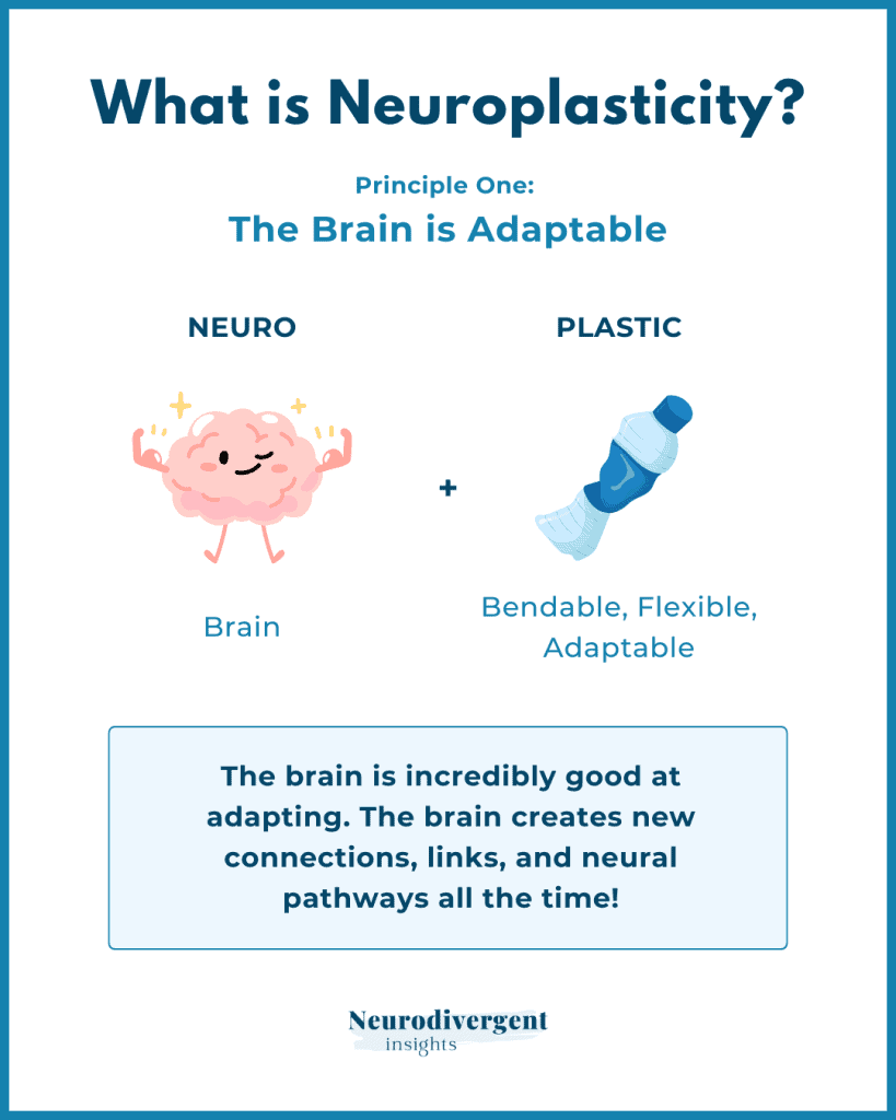Neuroplasticity infographic showing brain and flexible plastic bottle illustration