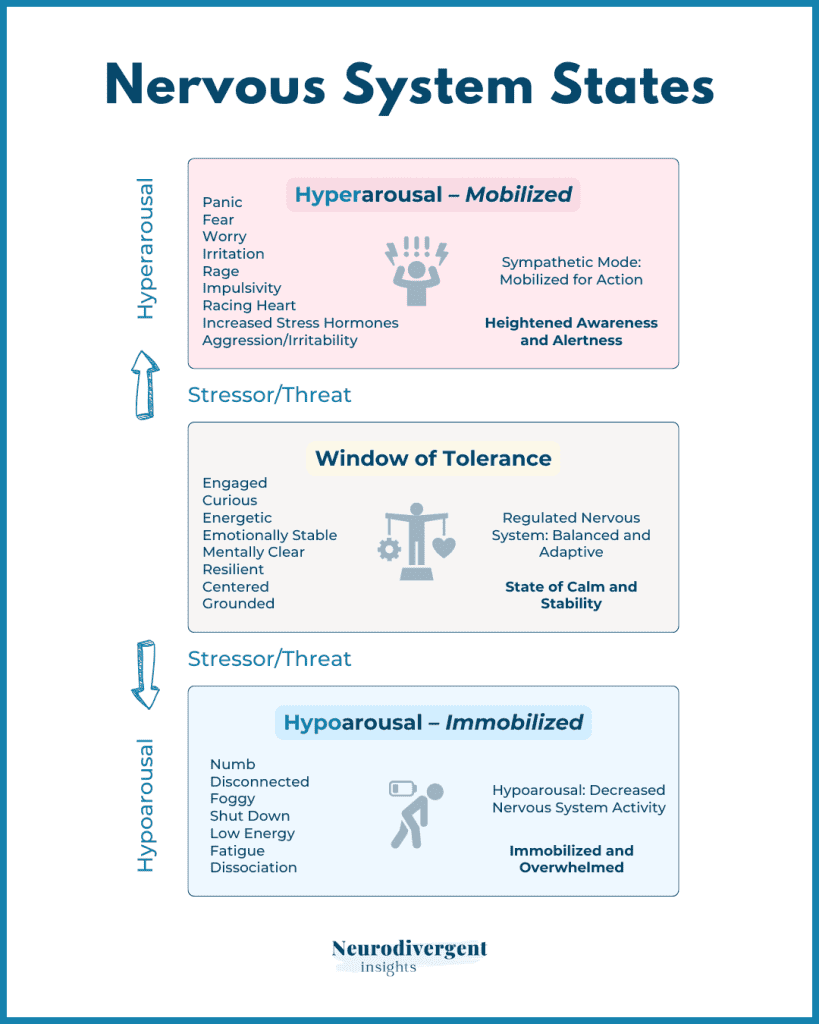 Infographic explaining the window of tolerance with hyperarousal and hypoarousal examples relevant to Autistic nervous systems.