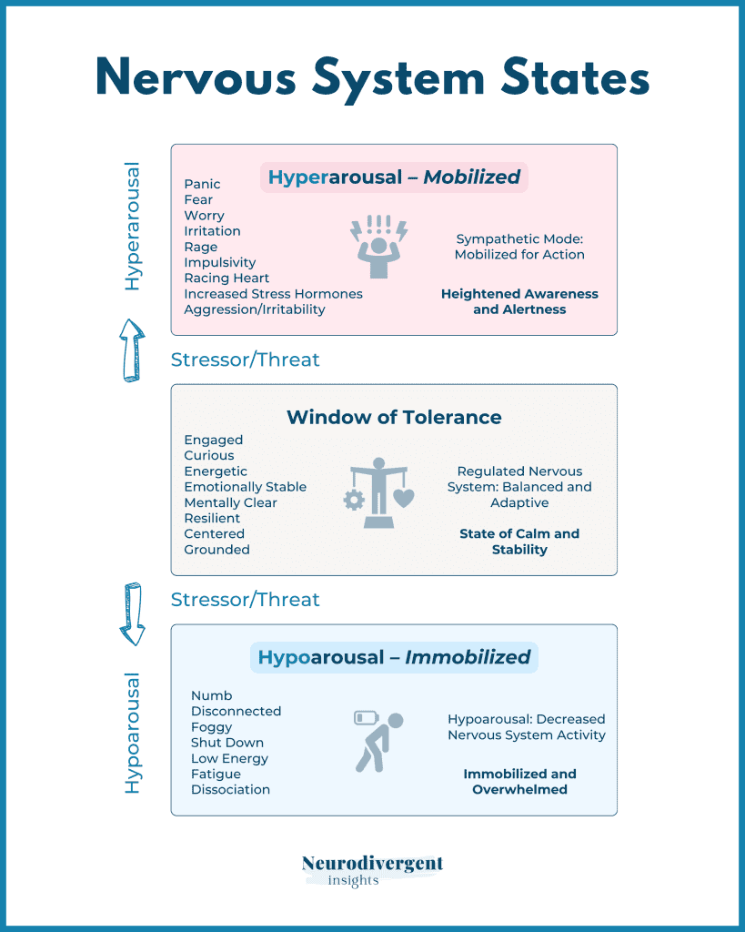 Nervous system states: hyperarousal (mobilized), window of tolerance (balanced) and hypoarousal (immobilized)